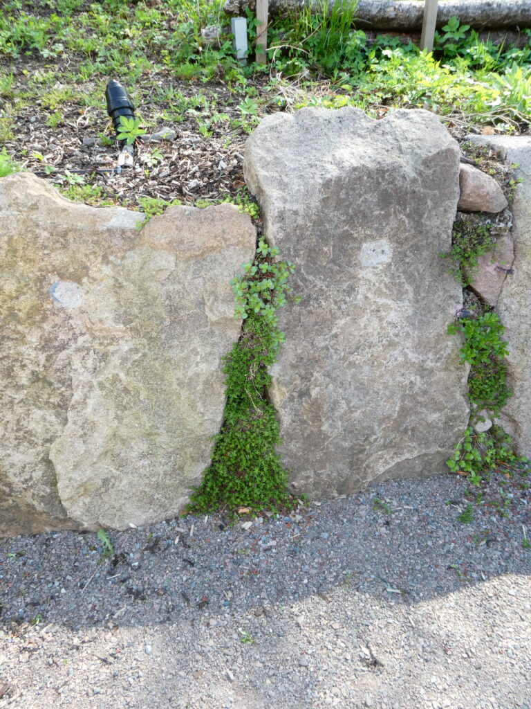P1000250