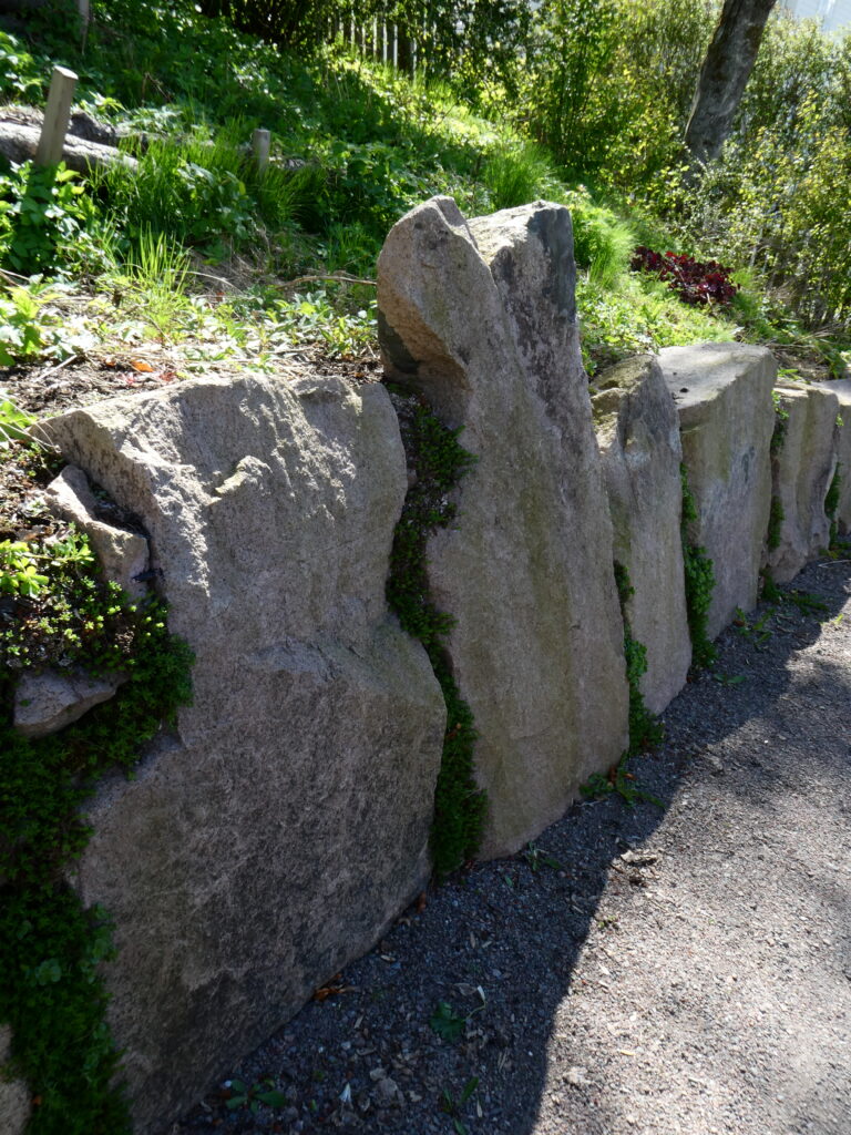 P1000253